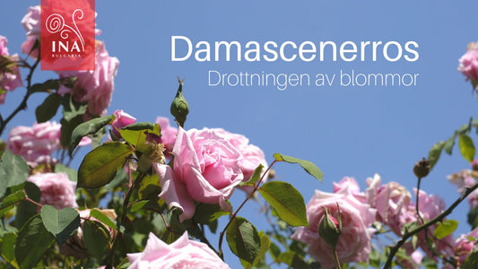 Därför behöver du flytande GULD i dina hudhårvårdsprodukter – Drottningen av Blommor - av InaEssentials
