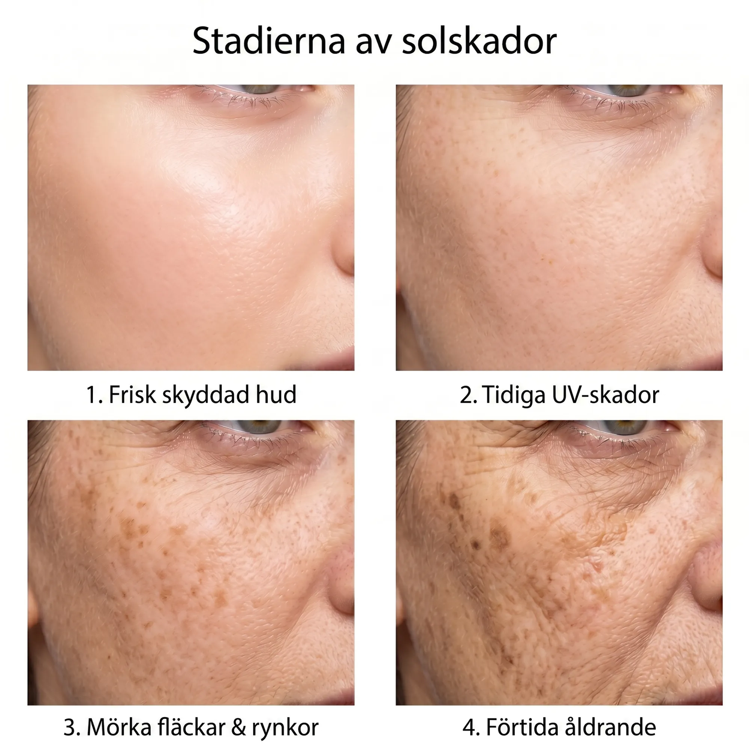 spf SE infographic